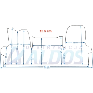 Iveco Daily VI (2014->) przednie dywaniki gumowe Amal Plast